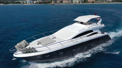 Medusa 1 — Petra Noir fleet