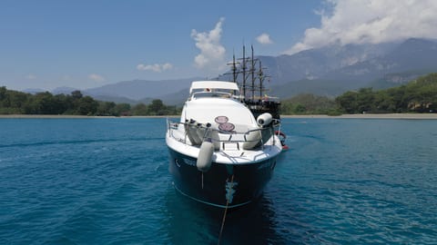 Medusa 1 — Petra Noir fleet