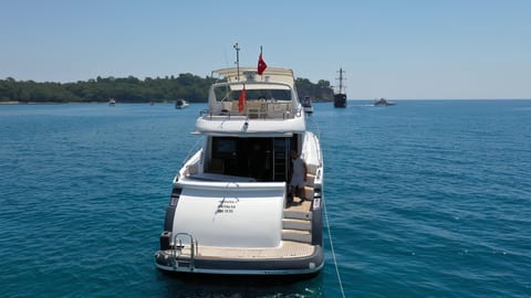 Medusa 1 — Petra Noir fleet