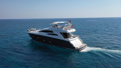 Medusa 1 — Petra Noir fleet