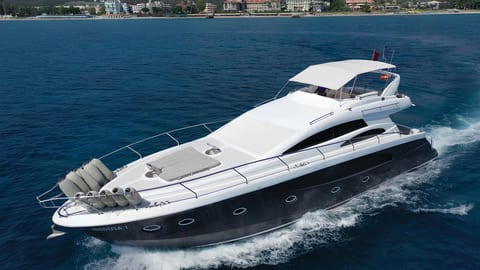 Medusa 1 — Petra Noir fleet