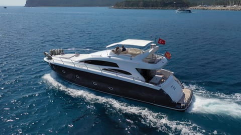 Medusa 1 — Petra Noir fleet