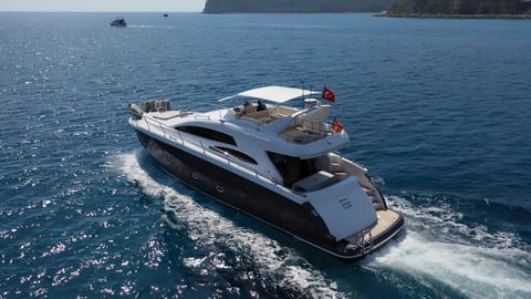 Medusa 1 — Petra Noir fleet