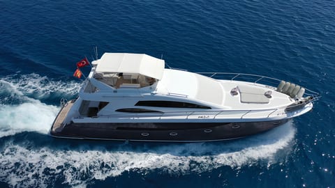 Medusa 1 — Petra Noir fleet