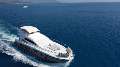 Medusa 1 — Petra Noir fleet