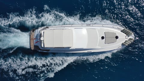 Medusa 1 — Petra Noir fleet