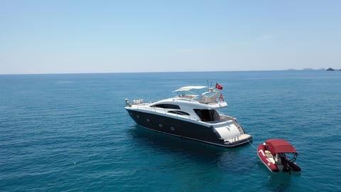 Medusa 1 — Petra Noir fleet