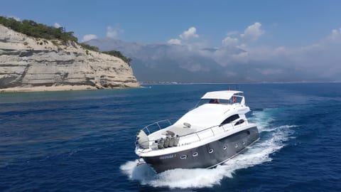 Medusa 1 — Petra Noir fleet