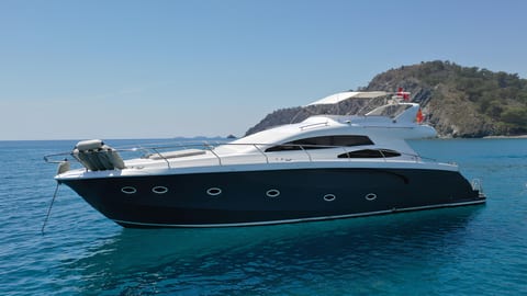 Medusa 1 — Petra Noir fleet