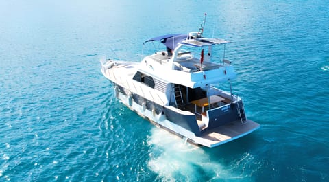 Medusa 2 — Petra Noir fleet