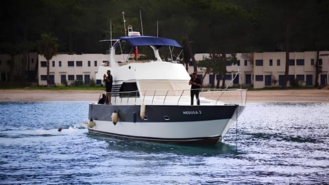 Medusa 2 — Petra Noir fleet