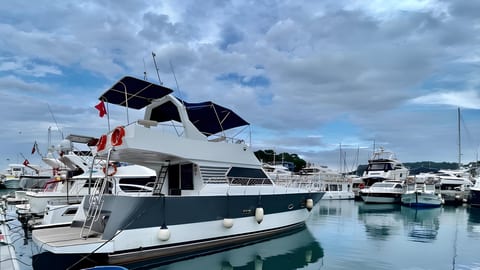 Medusa 2 — Petra Noir fleet