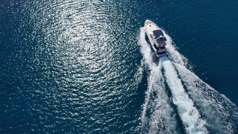 Medusa 2 — Petra Noir fleet