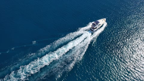 Medusa 2 — Petra Noir fleet