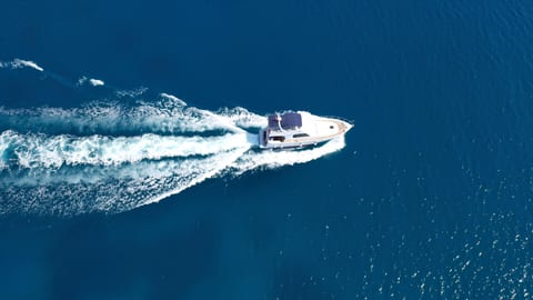 Medusa 2 — Petra Noir fleet