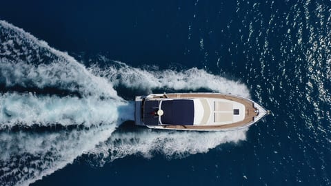 Medusa 2 — Petra Noir fleet