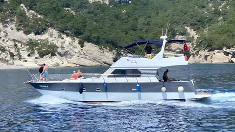 Medusa 2 — Petra Noir fleet
