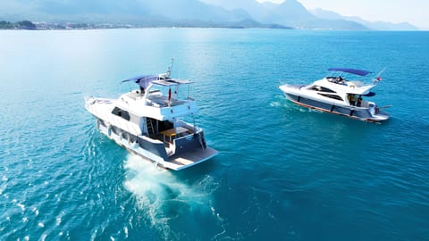 Medusa 2 — Petra Noir fleet