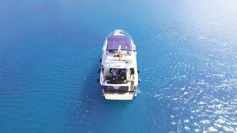 Medusa 3 — Petra Noir fleet