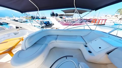 Medusa 4 — Petra Noir fleet